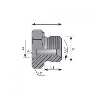 Welding adaptor BSPP. (AMNS..T)